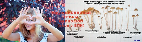 меф VHQ Алзамай