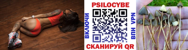 купить наркотик  Лахденпохья  Галлюциногенные грибы Psilocybine cubensis 
